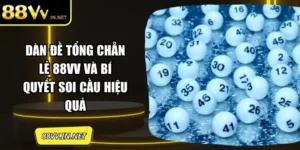 dan-de-tong-chan-le-anh-dai-dien