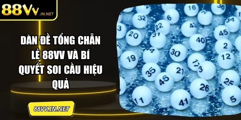 dan-de-tong-chan-le-anh-dai-dien